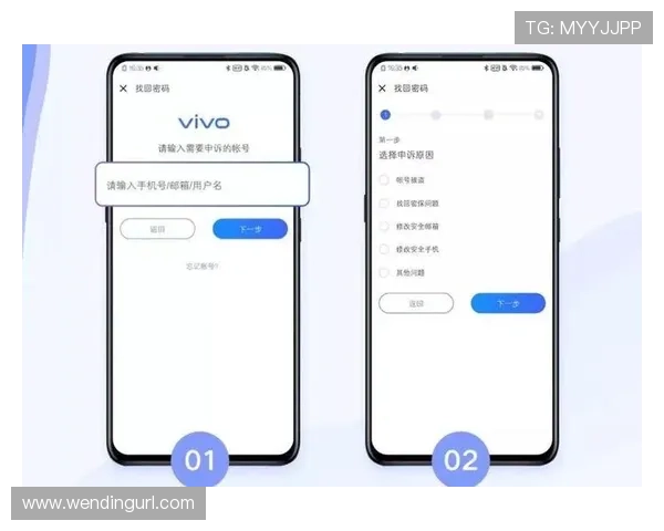 问鼎网页版登录账号密码忘记怎么办，详细步骤帮你快速找回