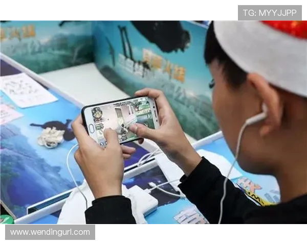 问鼎集团网址官方网址是什么，如何确保访问的安全性和官方身份验证