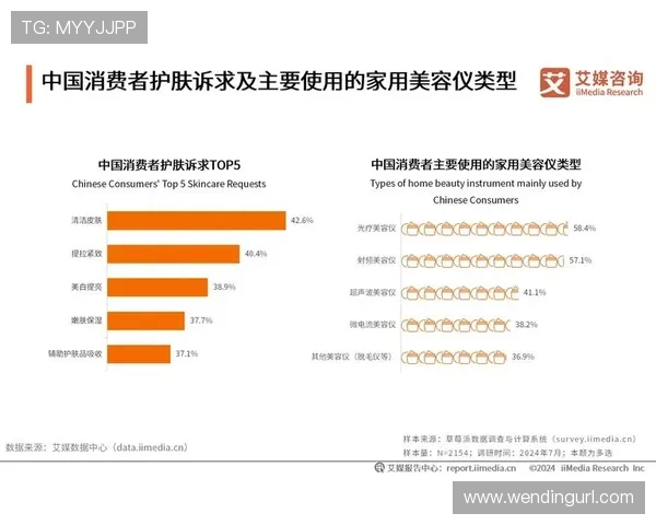 问鼎中国电子行业的市场份额提升策略与消费者需求洞察 问鼎中国电子行业的市场份额提升策略与消费者需求洞察